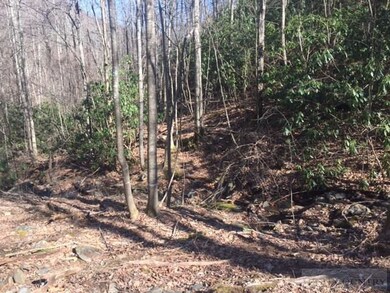 New Road leading to property