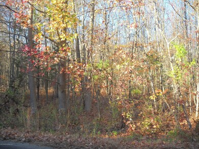 DSCN0086