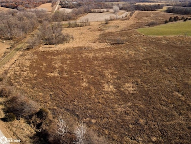 31914 165th St, Floris, IA 52560 - photo 3