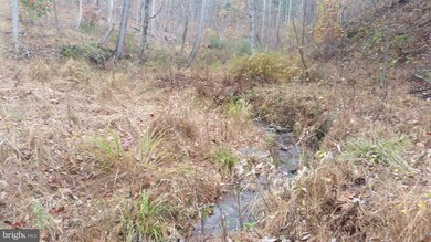 180 Spring Hollow Ln, Great Cacapon, WV 25422 - photo 4