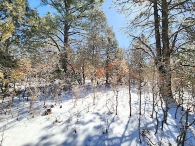 0 Private Drive 1781a, Los Ojos, NM 87551 - photo 5