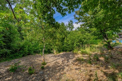 110 Hogue Dr, Selma, OR 97538 - photo 5