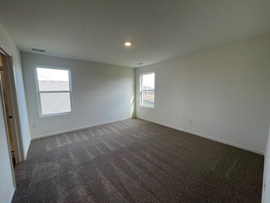 501 Monte Carlo Way, Joliet, IL 60436 - photo 6