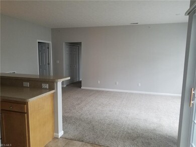 604 Aqua Marine Blvd, Avon Lake, OH 44012 - photo 4