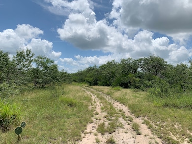 Sendero Creek Ranch Tract 6, San Diego, TX 78332 - photo 6