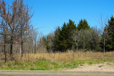 0 Fm 2859 unit 20017016, Other, TX 75110 - photo 3