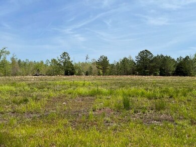 67 Beaver Pond Rd, Luverne, AL 36049 - photo 3