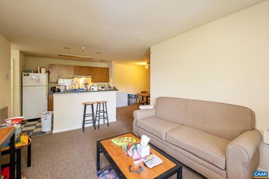 195 Yellowstone Dr unit 301, Charlottesville, VA 22903 - photo 6