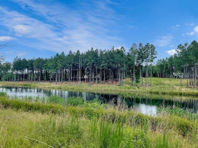 d0a999756ea1763f4c13598c33de0c7al-m63487