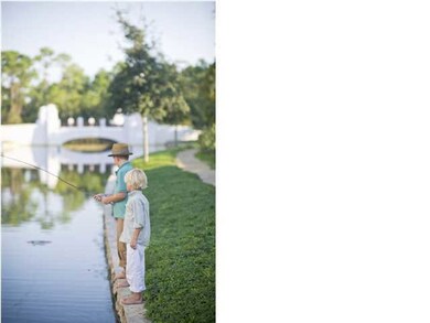 50 Spice Berry Aly, Inlet Beach, FL 32461 - photo 6