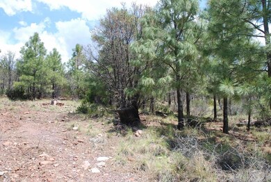 Lot 39 E Antelope Trail unit 39, Payson, AZ 85541 - photo 2