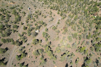 dji_fly_20250531_102248_534_174871249121