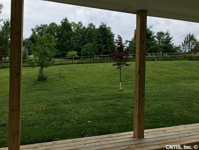 Backyard.