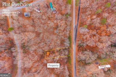 0 Ridgeview Dr unit 10655811, Lavonia, GA 30553 - photo 2