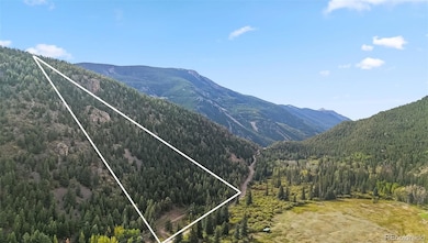 0 Bard Creek Rd unit REC4239246, Empire, CO 80438 - photo 5