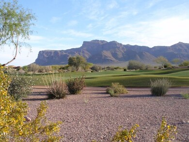 Your Backyard!