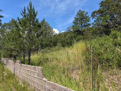 Old Retaining Wall
