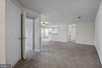 2445 103 Blue Spring Ct unit 103, Odenton, MD 21113 - photo 3