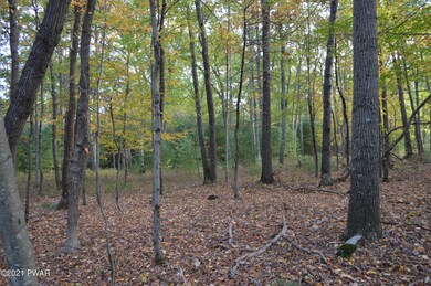 Lot 25 Griff Ct, Dingmans Fry, PA 18328 - photo 4