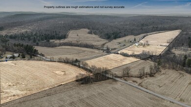 1669 Sylvis Rd, Cherry Tree, PA 15724 - photo 3