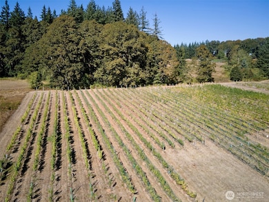 11700 NE 279th St, Battle Ground, WA 98604 - photo 4