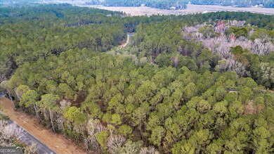 Lot 83 Fiddlers Cove, Townsend, GA 31331 - photo 6