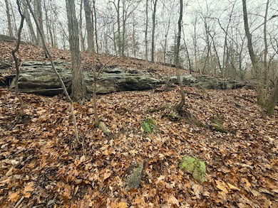 8ac Farm Road Sw4381, Noel, MO 64854 - photo 6