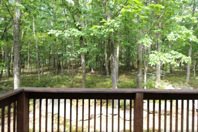 107 Manayunk Ave, Hazle Township, PA 18202 - photo 3