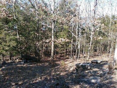 000 Terrace Park Rd, Ruth B Rural Township, MO 65686 - photo 2