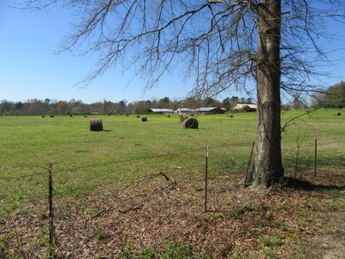 Land View 8
