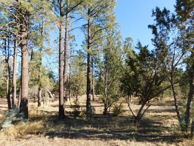 Roundup Rd (2)