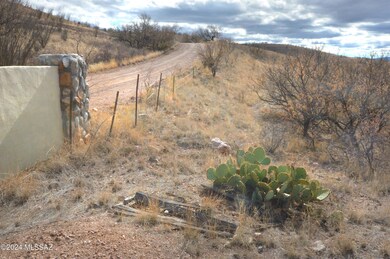 Up the road, to Lake Patagonia Rd