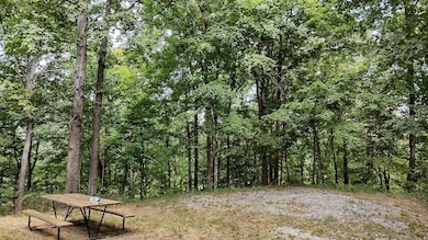 0 Bells Mines School Rd, Sturgis, KY 42459 - photo 7