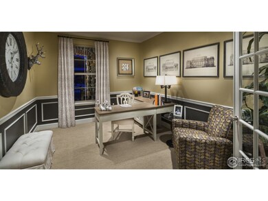 3464 E 143rd Place, Brighton, CO 80602 - photo 6