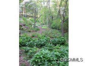 Backyard up to Robinhood Rd.