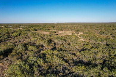 663 San Diego Rd, Tilden, TX 78072 - photo 5
