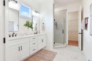 555 Preserve Way, Hoover, AL 35226 - photo 6