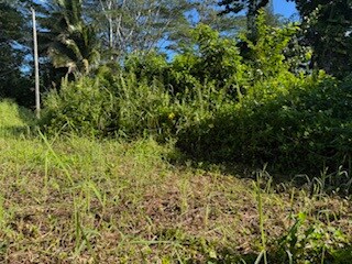 15-2714 Hou St, Hawaiian Beaches, HI 96778 - photo 6