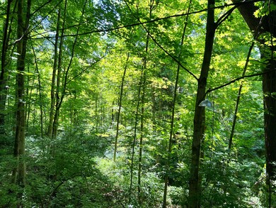 IMG-3935