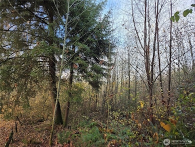 388 XX 191st Ave SE, Auburn, WA 98092 - photo 6