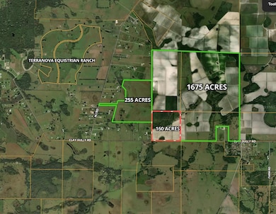 142 142nd, Myakka City, FL 34251 - photo 2