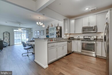 510 Quarry View Ct unit 105, Reisterstown, MD 21136 - photo 6