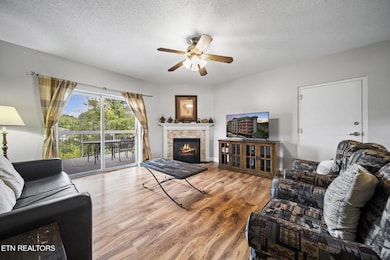 111 Jake Thomas Rd unit STE 202, Pigeon Forge, TN 37863 - photo 3