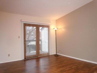 Light filled living area with vaulted ceilings.  N