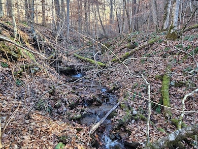 00 Corbin Cove Dr, Franklin, NC 28734 - photo 7