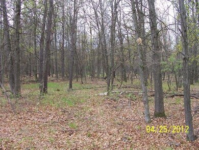 9161 Dragonfly Rd, Warrens, WI 54666 - photo 4