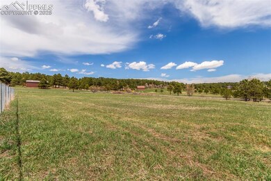 Part of the 5 acres!