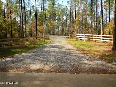 773 Permenter Rd, Camden, MS 39045 - photo 5
