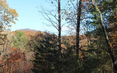 0 Oakridge Mtn Lt 9, Ellijay, GA 30536 - photo 3
