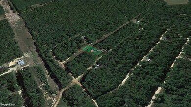 0 Chestnut Dr unit Harleton TX 75651, Harleton, TX 75651 - photo 5